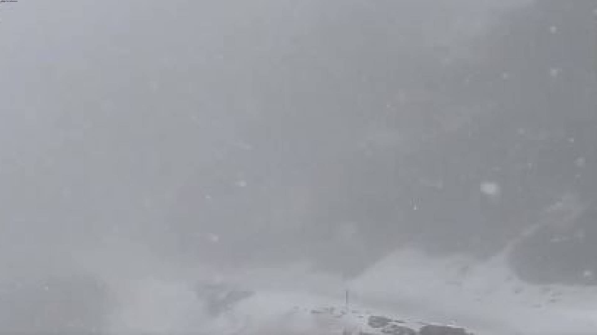 Srinagar-Leh Highway closed following fresh snowfall